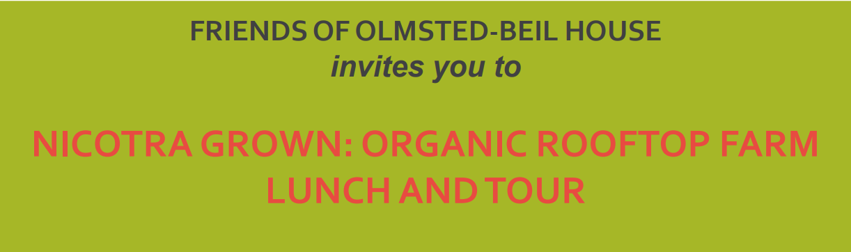 Nicotra Grown: Organic Rooftop Farm Tour