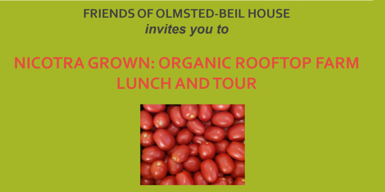 Nicotra Grown: Organic Rooftop Lunch and Tour