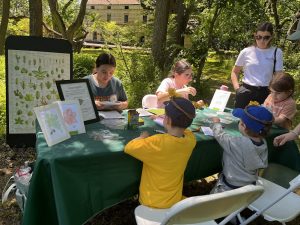 Frederick Law Olmsted Green Fun Fest 2024