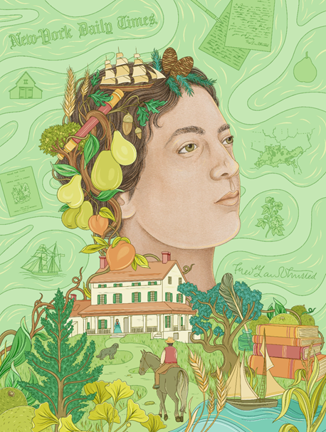 Furrow and Folio: Portrait of Frederick Law by Gaby D’Alessandro